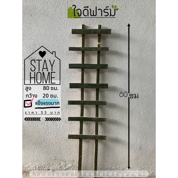 ไม้หลักต้นไม้,ไม้หลักกระถางขนาด 80x20 ซม. 1 ชิ้น ราคา 55 บาท✅✅