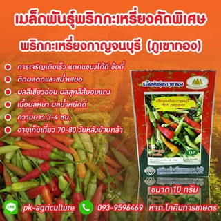 เมล็ดพันธุ์พริกกะเหรี่ยงกาญจนบุรี ขนาด 10 กรัม