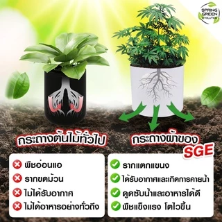 กระถางผ้า สีขาว กระถางผ้าปลูกต้นไม้ ถุงปลูกต้นไม้ กระถางต้นไม้ GBW Gallon ของแท้จาก SGE