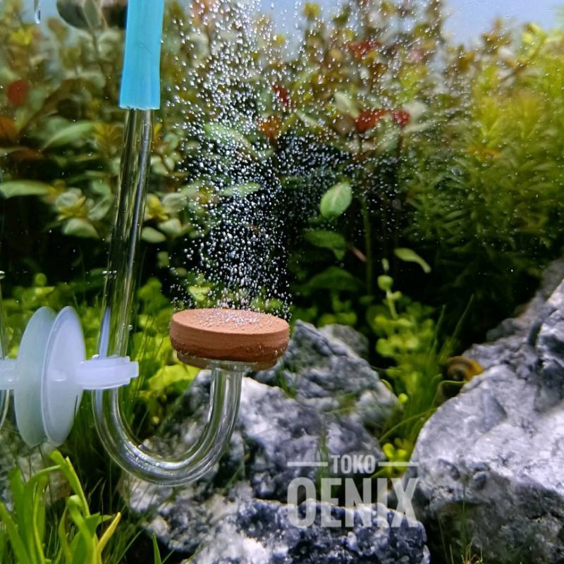 Flat aquascape co2 Mini diffuser