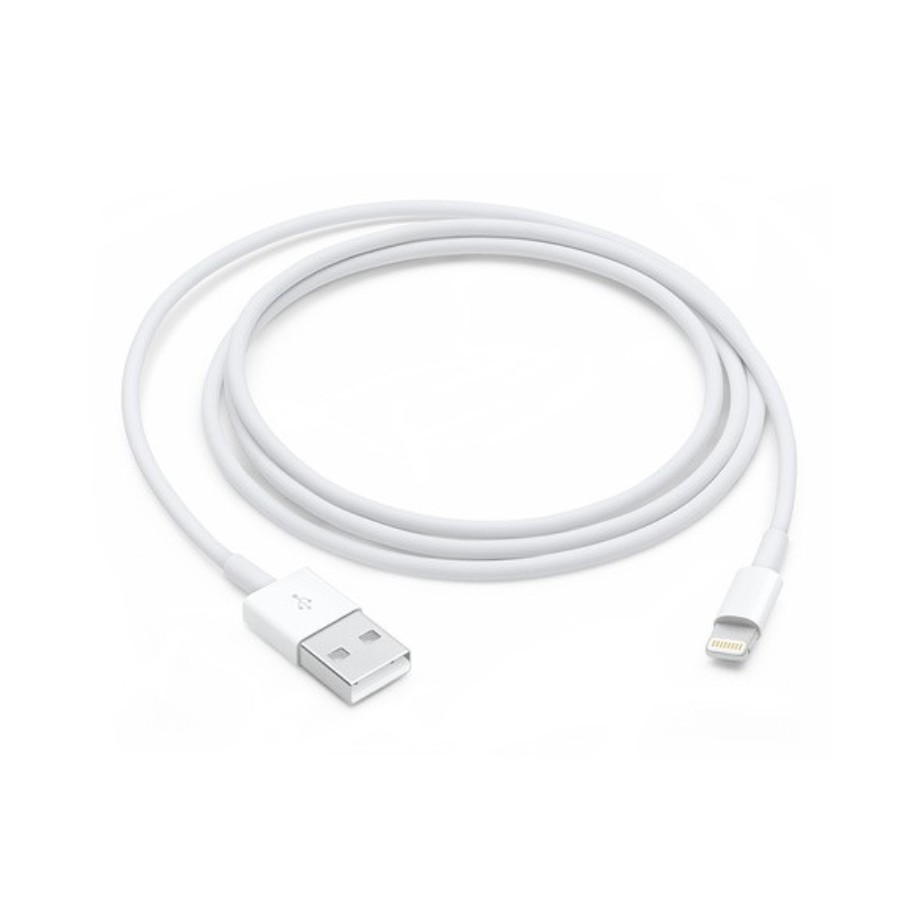 Apple Lightning to USB Cable (1M)