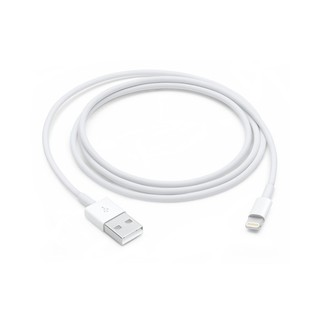 Apple Lightning to USB Cable (1M) #2