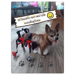 วีลแชร์สุนัข โครงสแตนเลส ขนาดไซส์ XS สัตว์เลี้ยง รถเข็น wheelchair for dog**ติดต่อร้านค้าก่อนสั่งซื้อ**โดยสัตวแพทย์