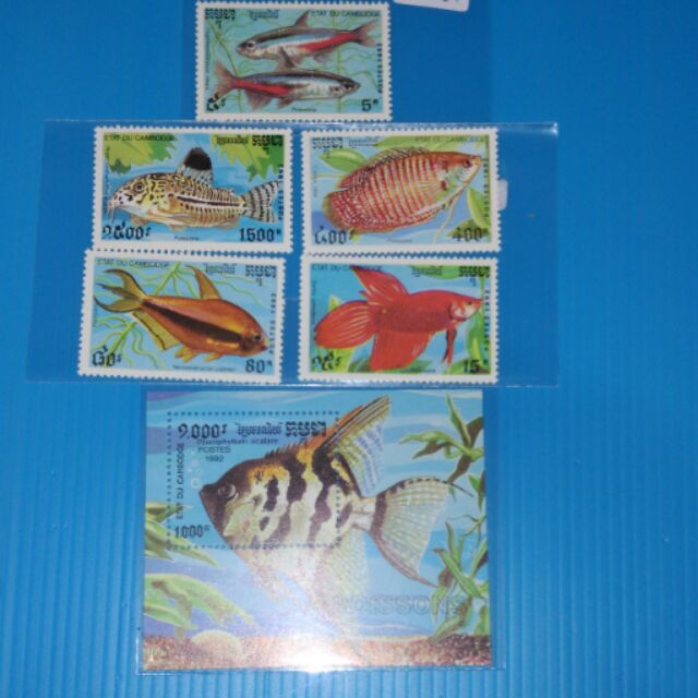 My Image 31