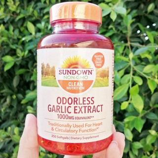 กระเทียมสกัดไร้กลิ่น Odorless Garlic Extract 1000 mg 250 Softgels (Sundown Naturals®) บำรุงหัวใจ หลอดเลือด ลดไขมัน