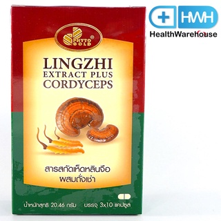 Phytogold Lingzhi Extract Plus Cordycep ไฟโตโกลด์ เห็ดหลินจือ สกัด ผสม ถั่งเช่า 30 Capsules