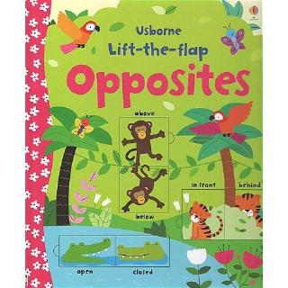 DKTODAY หนังสือ USBORNE LIFT-THE-FLAP OPPOSITES (AGE 3+)