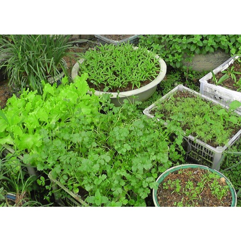 ปุ๋ยคอก ปุ๋ยอินทรีย์  มีทั้งปุ๋ยขี้วัวล้วน  ถุงละ 0.5 กก. ดูดซึมง่าย คุณภาพดี - รูปที่ 5