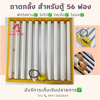 พร้อมส่ง! ถาดกลิ้งสำหรับตู้ 56 ฟอง ฟักไข่ห่าน,ไข่ไก่,ไข่เป็ด,ไข่นก พร้อมมอเตอร์ 2.3/3 rpm ขนาด 220 v ขนาด 42*42cm 🚚🚚