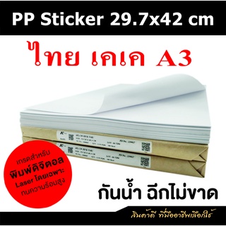 PP Sticker 29.7x42 cm Thai KK พีพีสติกเกอร์ ไทยเคเค A3 (รองหลัง K-tak)