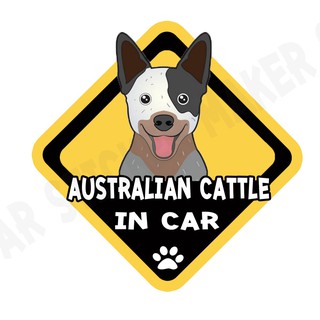 สติกเกอร์ติดรถ สติ๊กเกอร์ติดรถยนต์ สติกเกอร์หมา DGA21  Australian Cattle dog