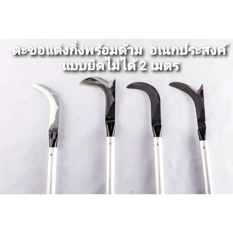 ตะขอแต่งกิ่งพร้อมด้ามต่อยืดไม่ได้ยาว 2 เมตร ตะขอมี 4 แบบให้เลือก ด้ามมี 2 ขนาด