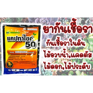 แคปทาไซด์50 แคปแทน  ยาป้องกันเชื้อรา 100 กรัม บรรจุจากโรงงาน ป้องกันเชื้อราในไม้ดอก ไม้ประดับ ไม้อวบน้ำ แคคตัส