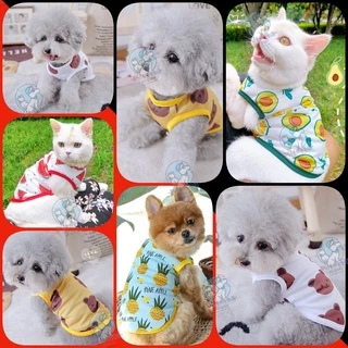 🇹🇭พร้อมส่ง🇹🇭 🍓🍉🍍🐻 เสื้อกล้ามเซ็ทลาย ผลไม้ & หมีบราวน์ น่ารักสุด และ ผ้าใส่สบายมากจ้า /// เสื้อสุนัข ชุดหมา ชุดแมว