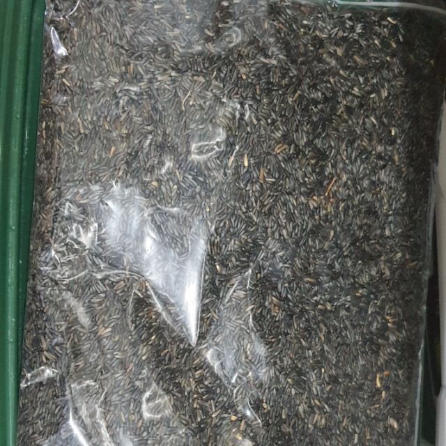 เมล็ดไนเจอร์ แบ่งจำหน่าย500g.-1,000g