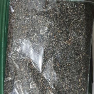 เมล็ดไนเจอร์ แบ่งจำหน่าย500g.-1,000g