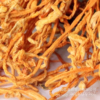 康旺 Gutian Cordyceps ดอกไม้ของแห้งระบายหัวสปอร์หญ้า500g 3V6V