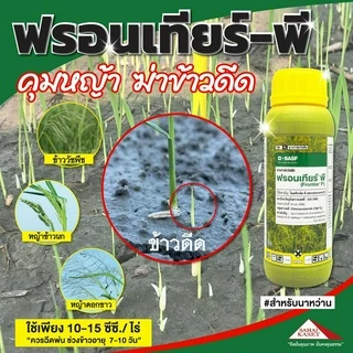 ฟรอนเทียร์ พี 500 cc. (ของแท้)( ไดเมทีนามิด-พี ) คุมหญ้า ฆ่าข้าวดีด หมักหญ้า หมักข้าวดีด ดอกขาว กก