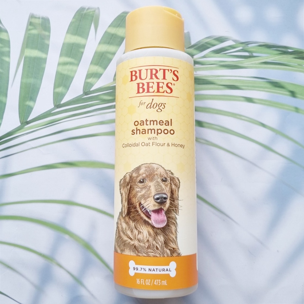 แชมพู ข้าวโอ๊ตธรรมชาติสำหรับสุนัข Oatmeal shampoo for dog with Colloidal Oat Flour & Honey 473 ML (B