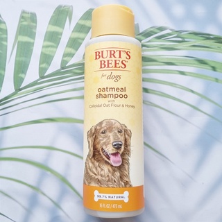 แชมพู ข้าวโอ๊ตธรรมชาติสำหรับสุนัข Oatmeal shampoo for dog with Colloidal Oat Flour &amp; Honey 473 ML (Burts Bees®) ผิวแห้ง