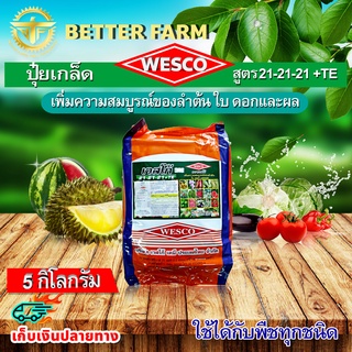 บรรจุ 5 กิโลกรัม WESCO ปุ๋ย 21-21-21 +TE(ธาตุรองเสริม) ปุ๋ยเกล็ด เวสโก้ เพิ่มความสมบูรณ์ของลำต้น ใบ ดอกและผล