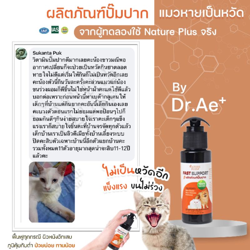 รูปภาพ 7