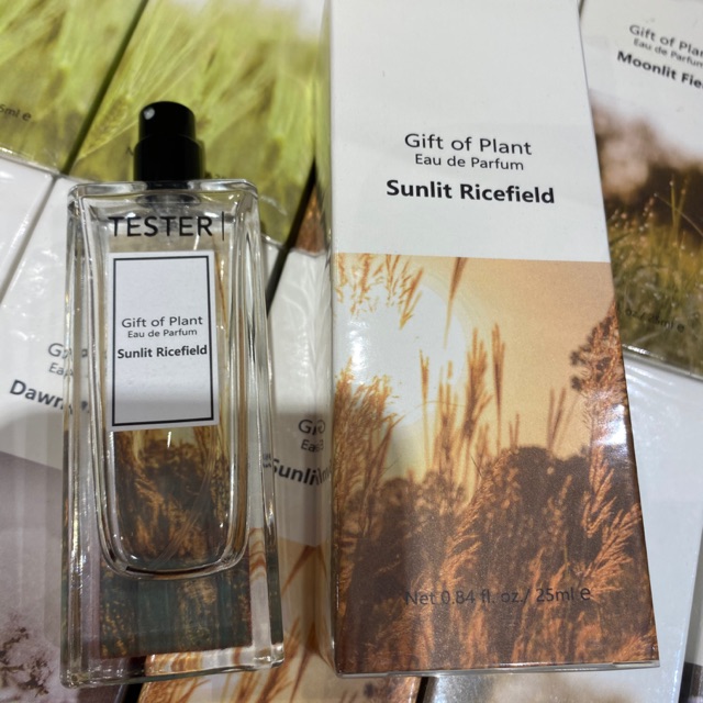 นำ้หอม นำ้หอมมินิโซ Miniso Sunlit Ricefield Perfume - boxandbag - ThaiPick