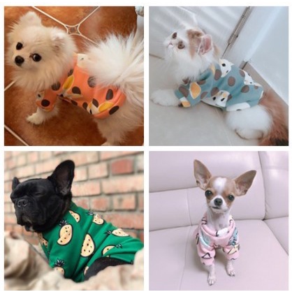 MG-208-1 ชุดสัตว์เลี้ยง เสื้อผ้าน่ารักสำหรับแมวและสุนัข ดีไซน์สดใส เหมาะกับน้องหมาแมวทุกตัว - รูปที่ 2