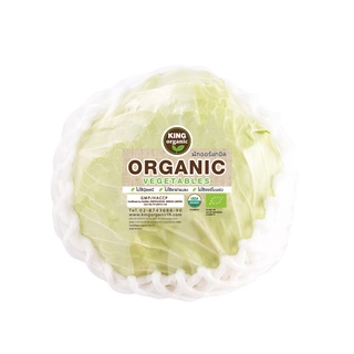 กะหล่ำปลี ออร์แกนิค CABBAGE ORGANIC (ส่งเฉพาะกทมและปริมณฑล)