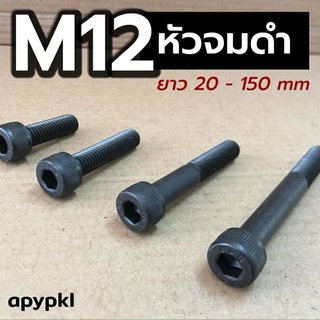 M12 สกรูหัวจมดำ น็อตหกเหลี่ยมดำ เกรด 12.9