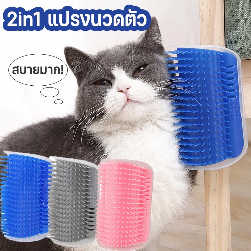 (พร้อมส่ง ) แปรงนวดขนแมว ใส่แคทนิปได้ ให้แมวเข้าไปถู