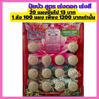 ปุ๋ยบัว ปุ๋ยไม้น้ำ สูตรเร่งดอก เร่งสี 1 แผง 14เม็ด Golden Flowers ช่องาม ขายส่ง ราคาถูก