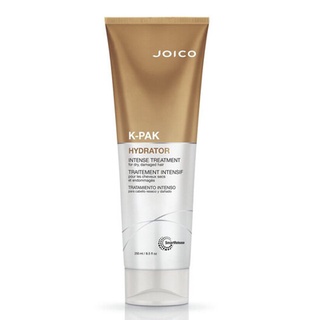 Joico K-PAK (step 4) INTENSE HYDRATOR TREATMENT 250ml จอยโก้ เคแพค มอยส์เจอร์ ทรีทเม้นต์ สำหรับผมแห้งเสียมาก FOR DRY DAMAGE HAIR 250 ML. ปกป้องผมจากการไดร์ สารเคมี