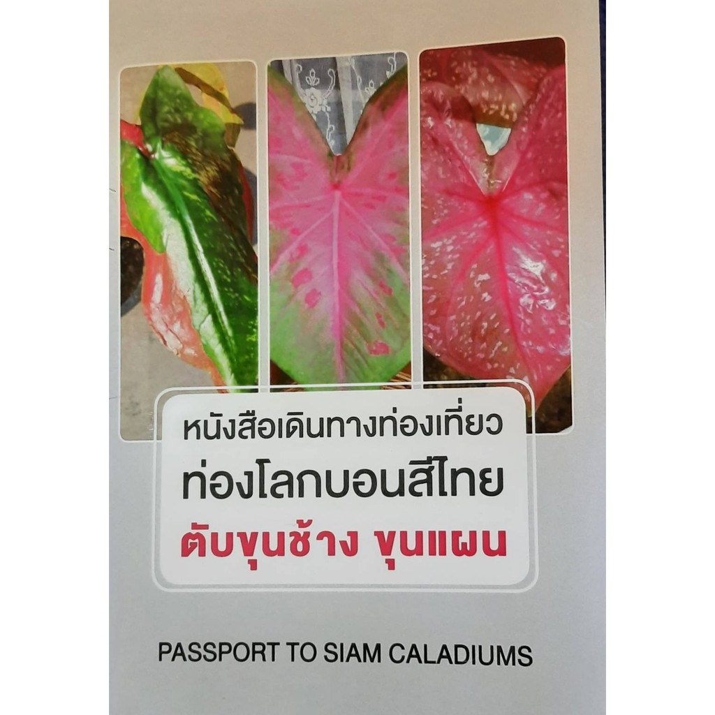 อัลบั้ม 96+ ภาพพื้นหลัง ตำรา โบราณ ตำรา สี ไก่ ตาม กำลัง วัน สวยมาก