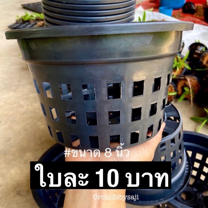 กระถางพลาสติกสำหรับกล้วยไม้ 8นิ้ว ใบละ10บาท