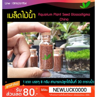 เมล็ดไม้น้ำ Aquarium Plant Seed บรรจุ 8 กรัม