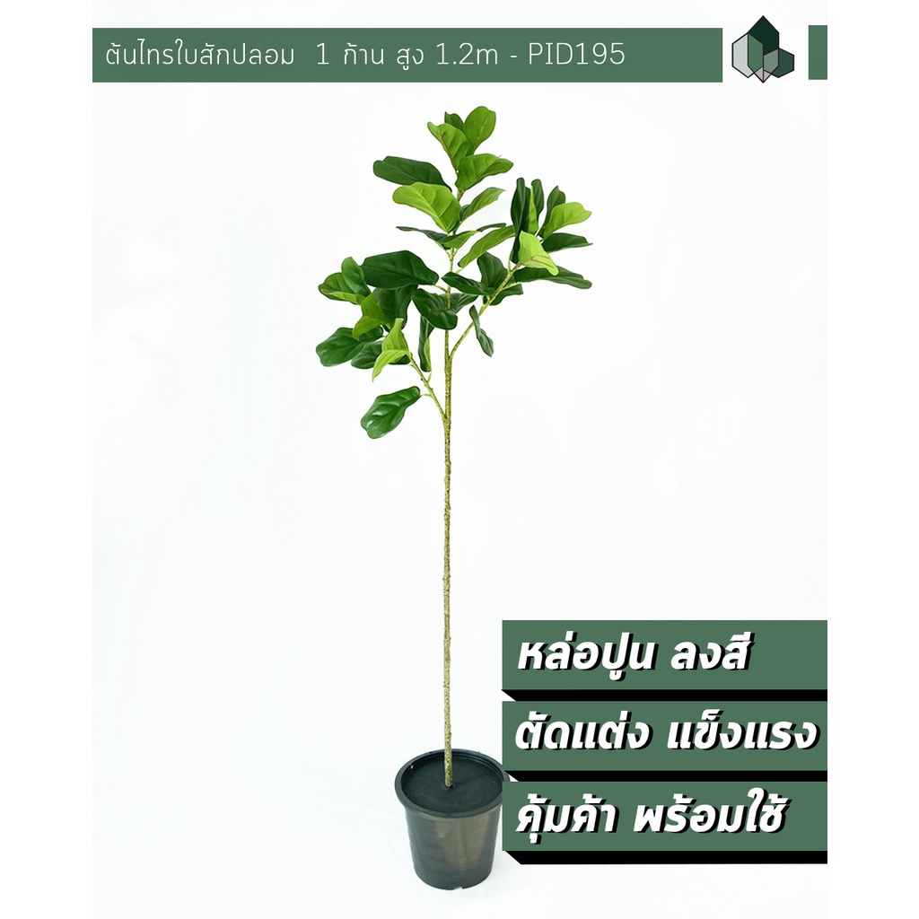 ต้นไทรใบสักปลอม 1 ก้าน สูง 1.2 เมตร พร้อมกระถางสีดำ 8 นิ้ว [ออกใบกำกับภาษีได้ ]