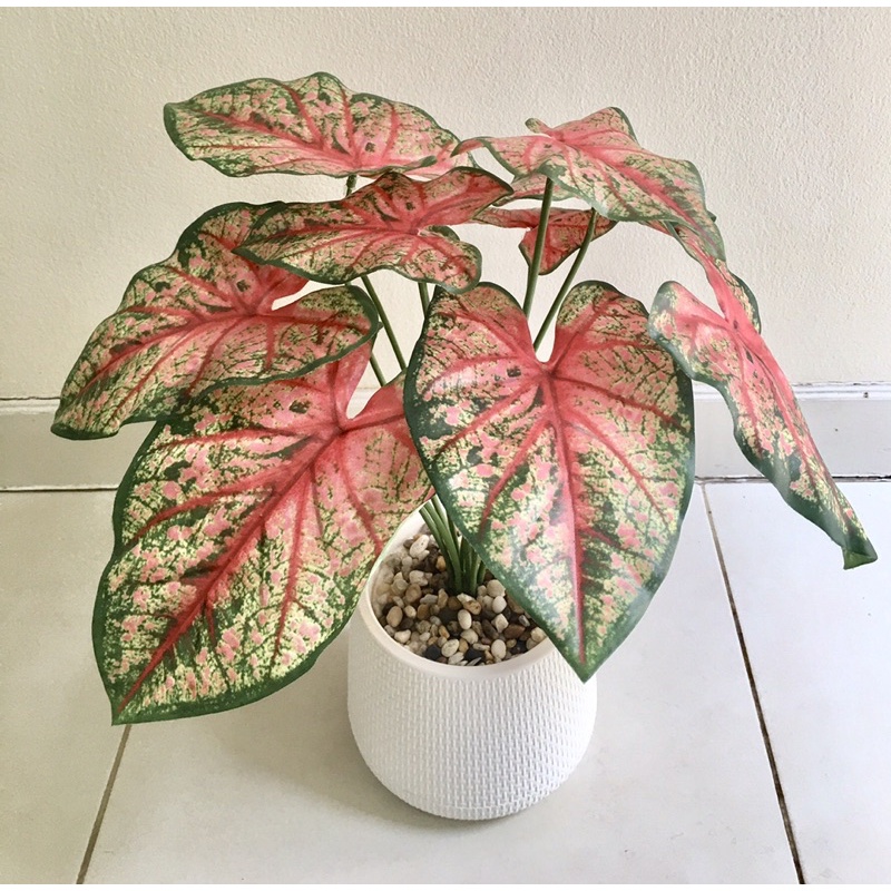 ต้นบอนสีปลอม ต้นไม้ปลอม ( Artificial Tree ) Shopee Thailand