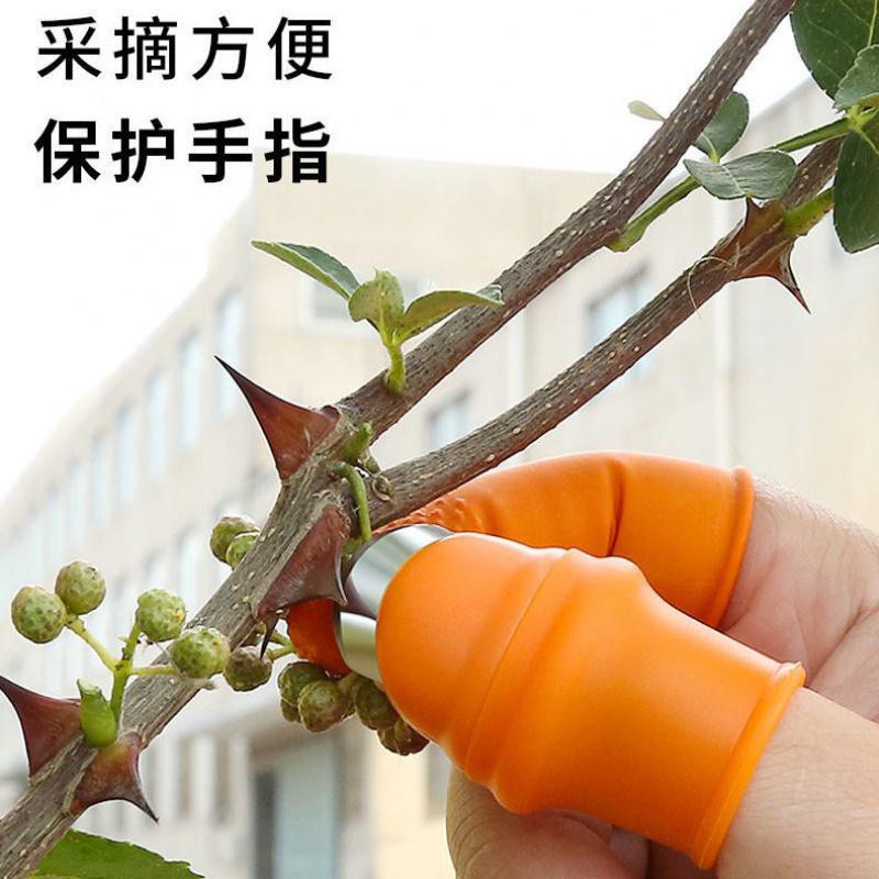 ความร้อน Garlic Peeling Nail Sleeve Household Edamame Device Armor