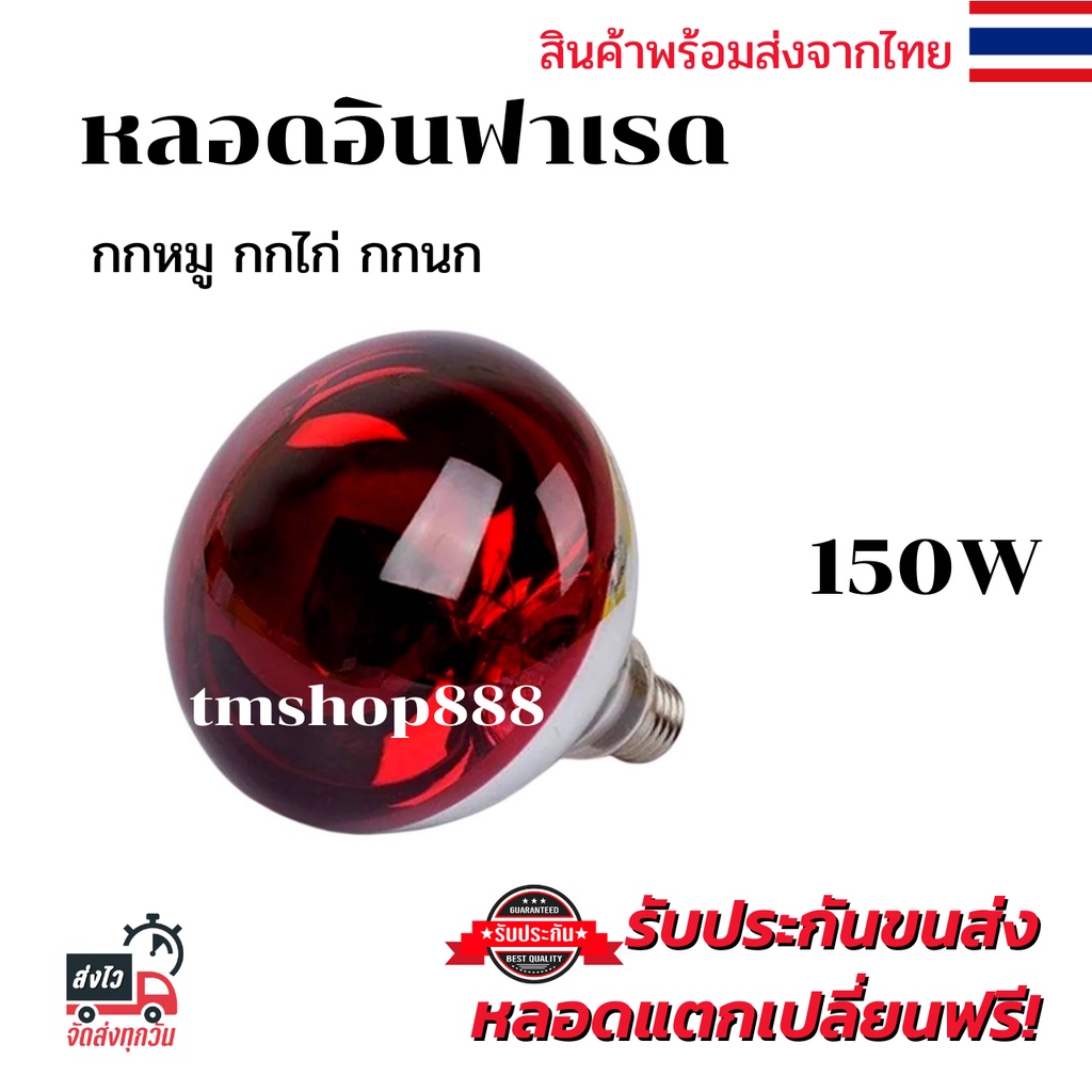 หลอดไฟอินฟาเรด[สีแดงเรียบ]กกไก่ กกหมู 150วัตต์ E27 หลอดไฟให้ความอบอุ่น infrared bulb 150w