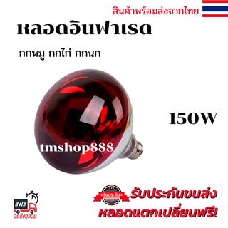 หลอดไฟอินฟาเรด[สีแดงเรียบ]กกไก่ กกหมู 150วัตต์  E27 หลอดไฟให้ความอบอุ่น infrared bulb 150w