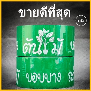 เทปต้นไม้ เทปกาวต้นไม้ เทปกาว เทปแพ็คต้นไม้ ระวังหัก บอบบาง อย่าโยน กว้าง 2 นิ้ว ยาว 45 หลา 1 ลัง (72 ม้วน)