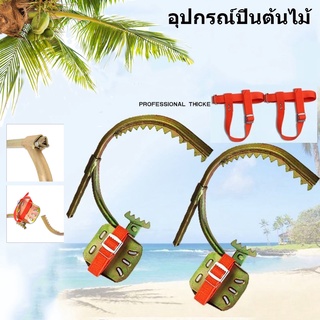 【One_boutique】Coolthings อุปกรณ์ปีนต้นไม้ อุปกรณ์ปีนเสาไม้ รองเท้าปีนต้นไม้