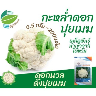 กะหล่ำดอก (Cauliflower)​ ปุยเมฆ