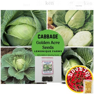 Cabbage Repolyo 12 to 340 seeds with free seedling bag and other free seeds by Lemonique Farsคื่นฉ่าย/ผู้ชาย/ดอกทานตะวัน