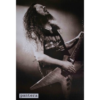 โปสเตอร์ รูปถ่าย วง ดนตรี แพนเทอรา Pantera (1981-2003) POSTER 24"x35" Inch American Heavy Metal V4