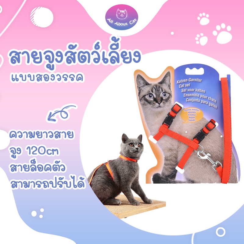 [ ABC cat ] [สายจูงสองวรรค] สำหรับสัตว์เลี้ยง น้องหมา น้องแมว