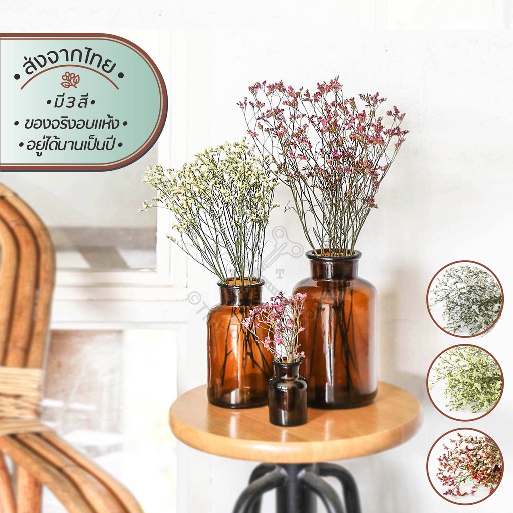 Dried Flower Sui ดอกสุ่ยอบแห้ง | อบ แห้ง ธัญพืช ต้นไม้ ดอกไม้ ใบไม้ ไม้เลื้อย ไม้ประดับ กิ่ง ก้าน กระถาง แจกัน ตกแต่ง