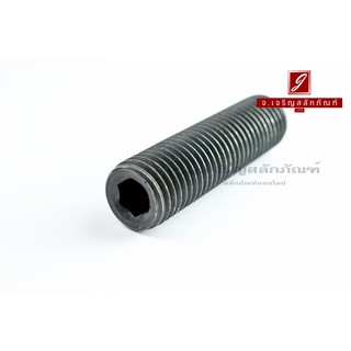 น็อตตัวหนอนดำแข็ง M24x90