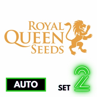 🔥Preorder🔥เมล็ดค่าย🌱Royal Queen Seeds🌱Auto⭐️ส่งฟรี🚨มีปลายทาง ส่งตรงจากนอกแท้100%⭐️ยกแพค/แยกเมล็ด⭐️อย่าเสี่ยงกับเมล็ดไม่มีที่มา#2